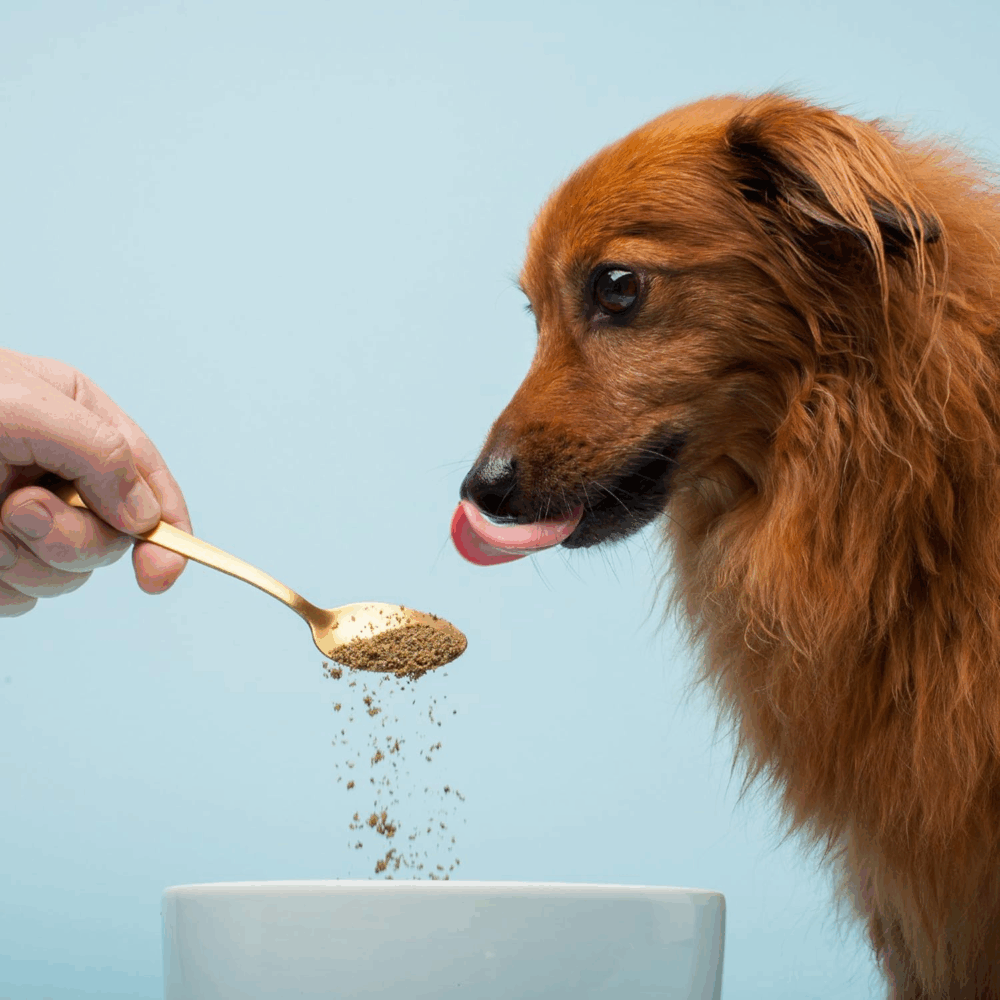 Shop Secondary Image Shop Secondary Image