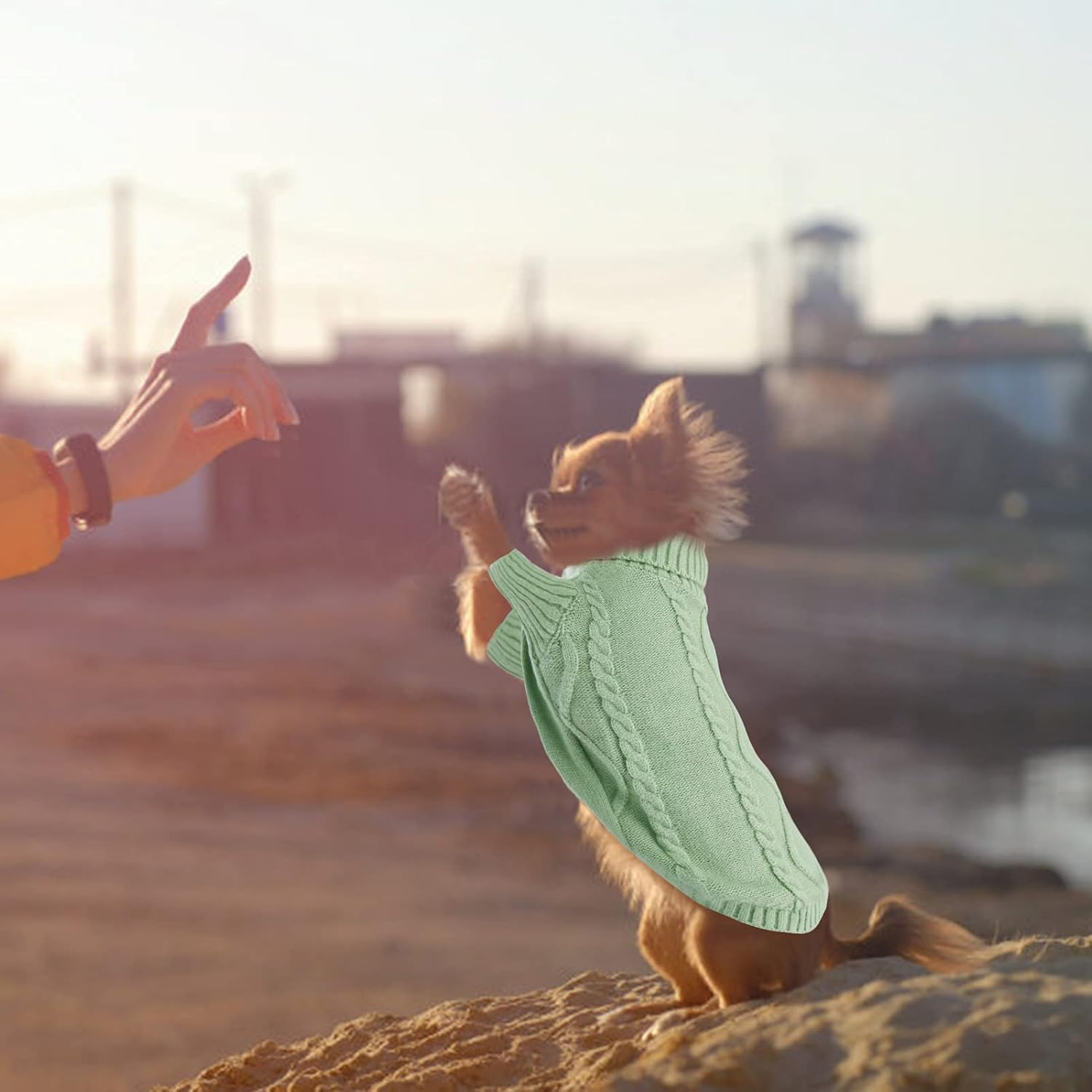 Pull Chien Moyen Bouledogue Français Chaud Pull-Overs Pour Chiens Pull Chihuahua Manteau Teckel Vetement Pour Chien Chat D'Hiver, Vert, M - Image 7