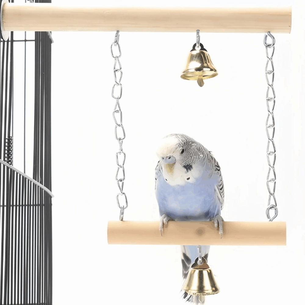 Shop Secondary Image