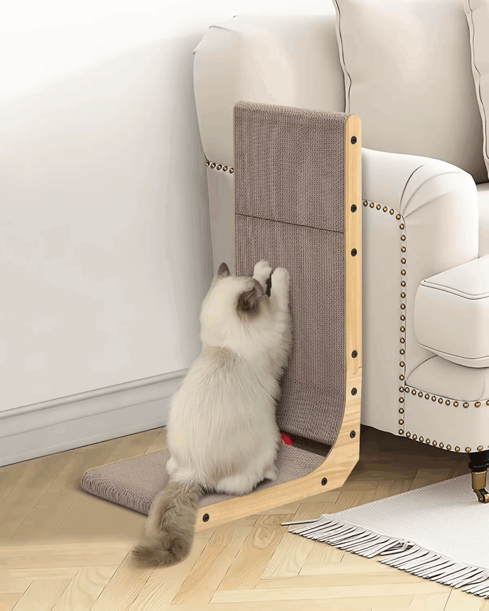 Shop Secondary Image