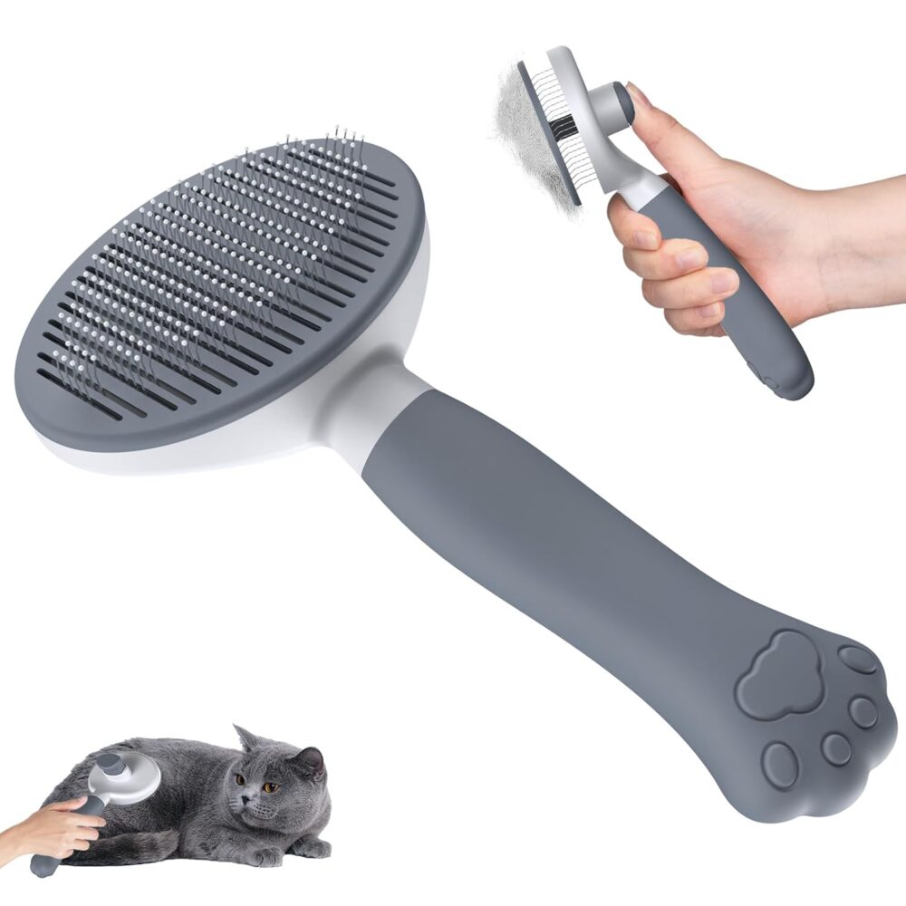 Shop Primary Image Shop Primary Image