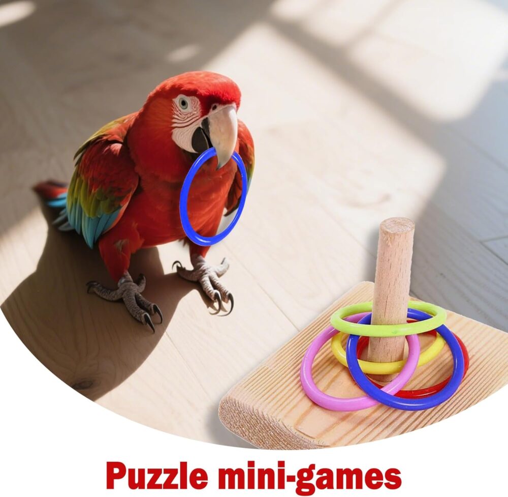 Shop Secondary Image