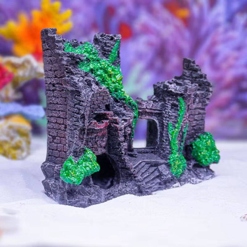 Shop Secondary Image