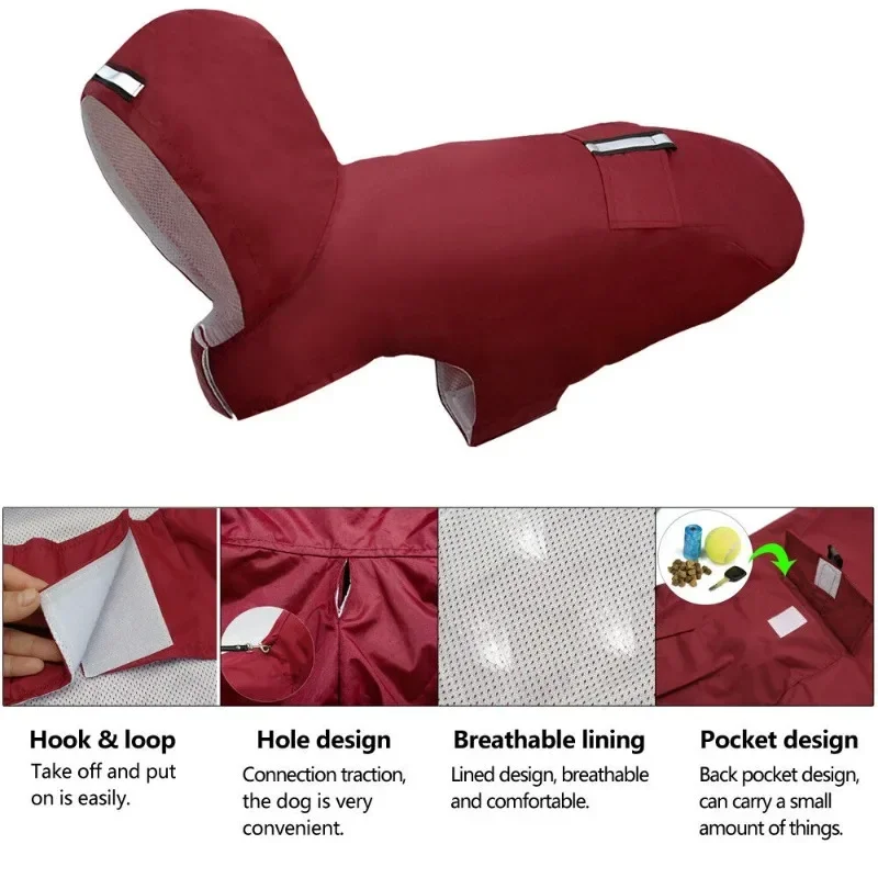 Shop Secondary Image Shop Secondary Image