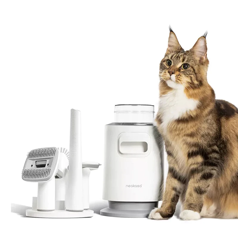 Shop Secondary Image