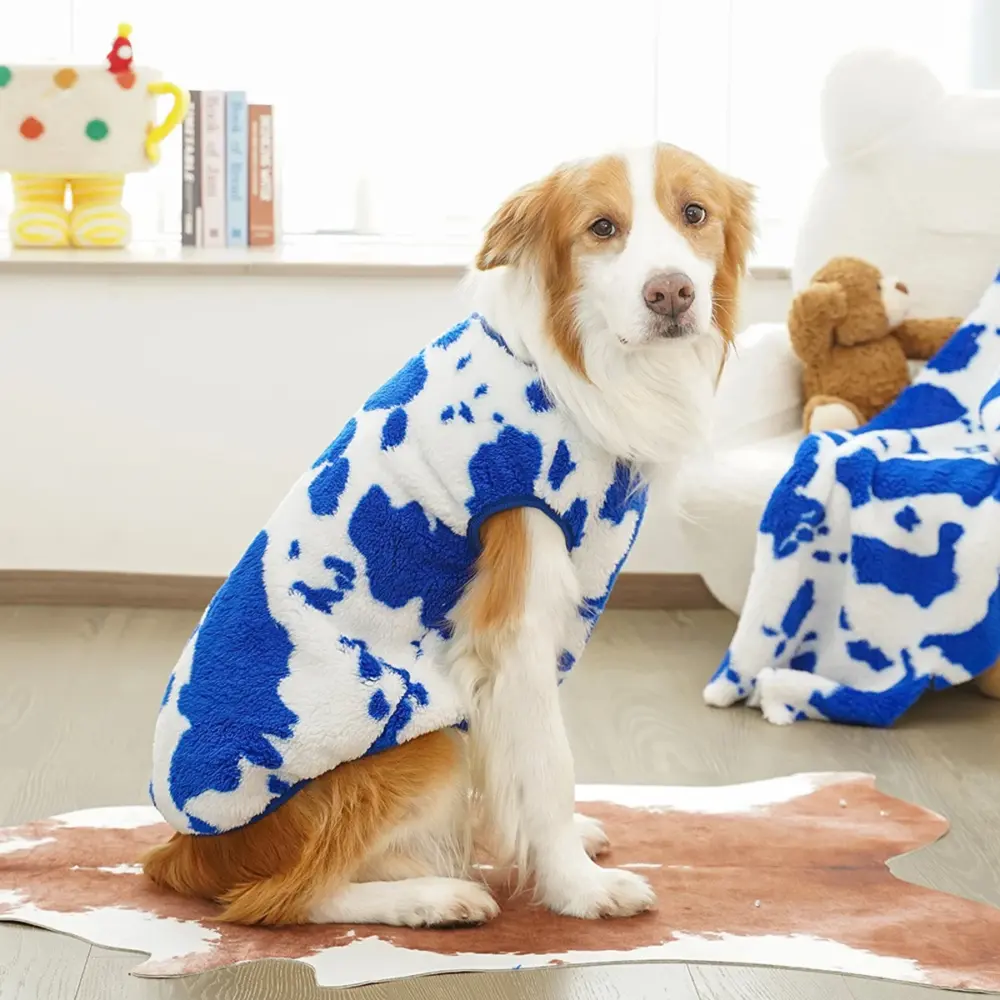 Shop Primary Image Shop Primary Image