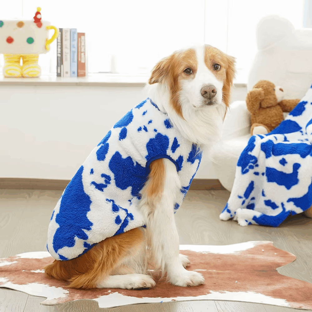 Shop Secondary Image