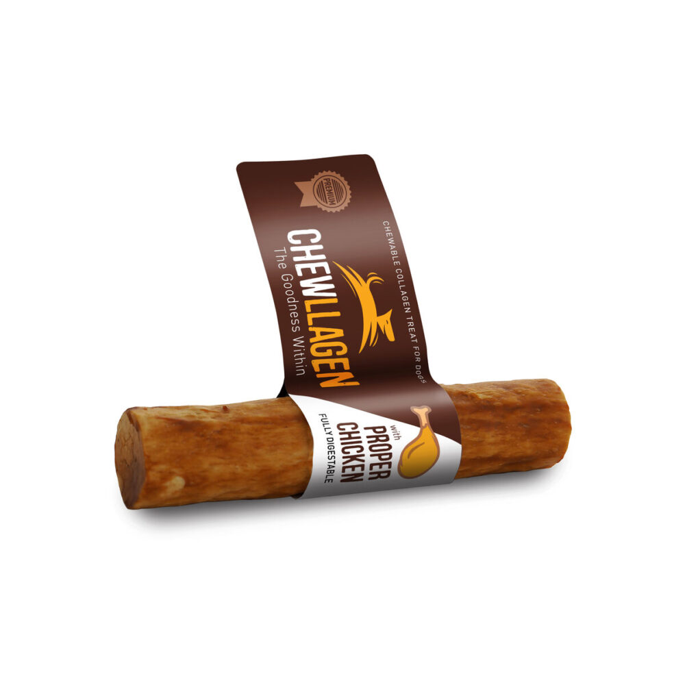 Shop Secondary Image