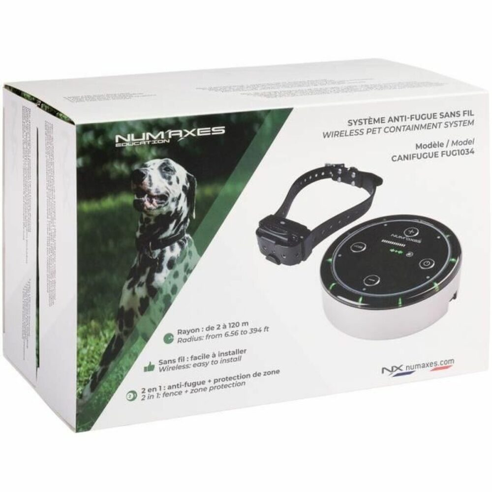 Shop Secondary Image