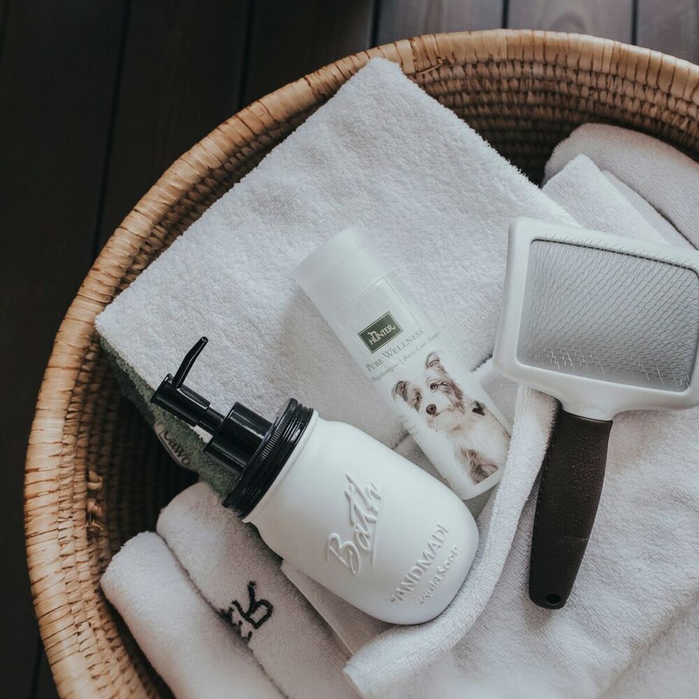 Shop Secondary Image