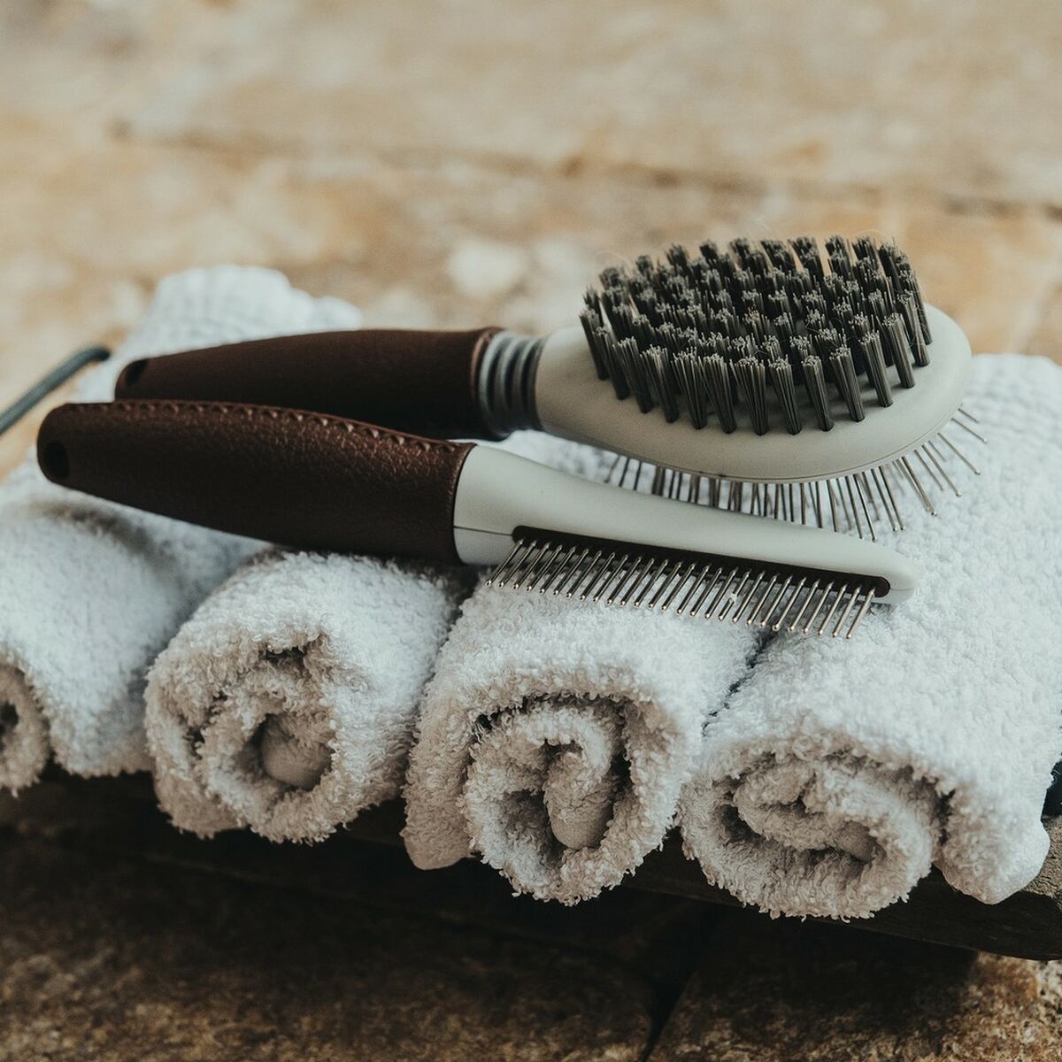 S6101219_1 S6101219_1