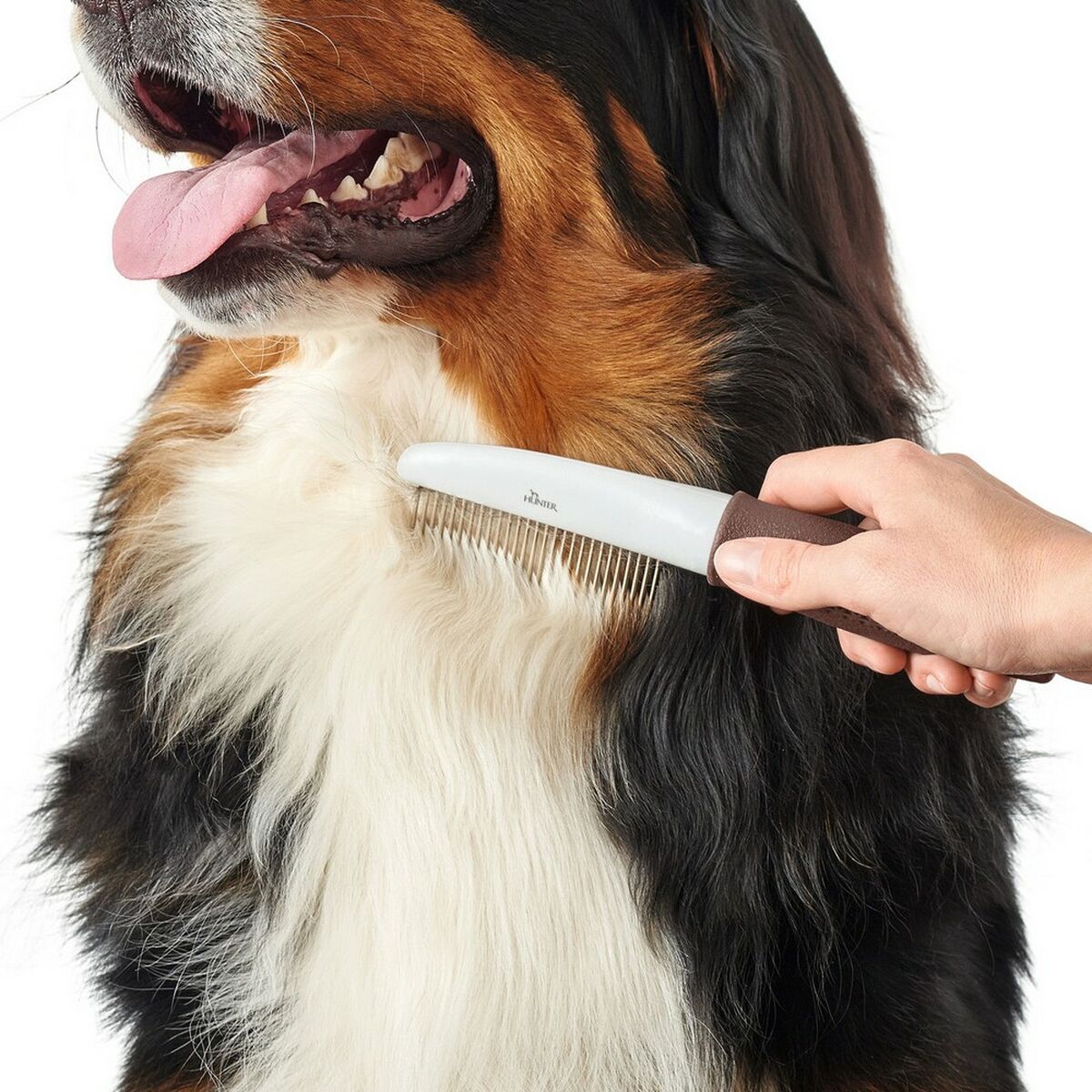 S6102773_1 S6102773_1