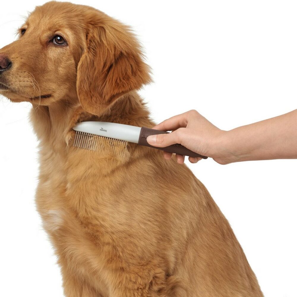 Gallery Thumb Gallery Thumb