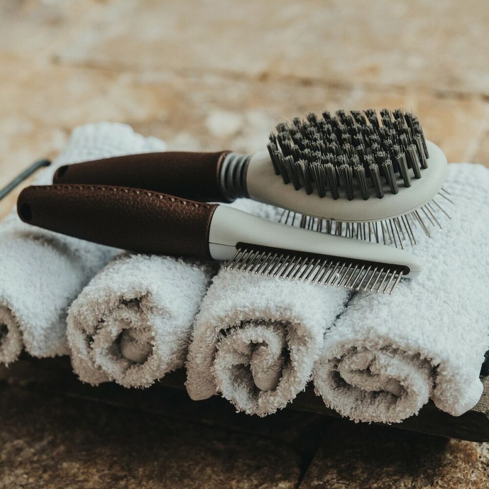 Gallery Thumb Gallery Thumb