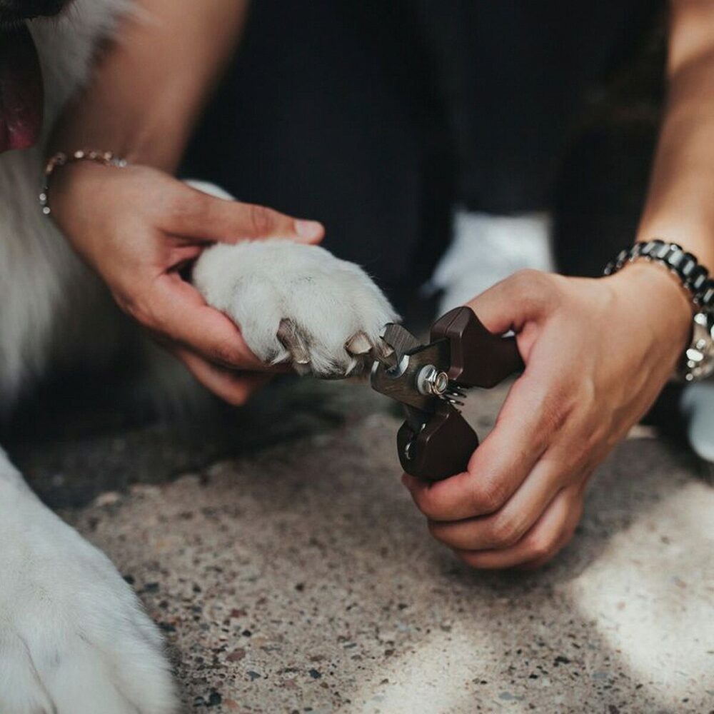 Shop Secondary Image