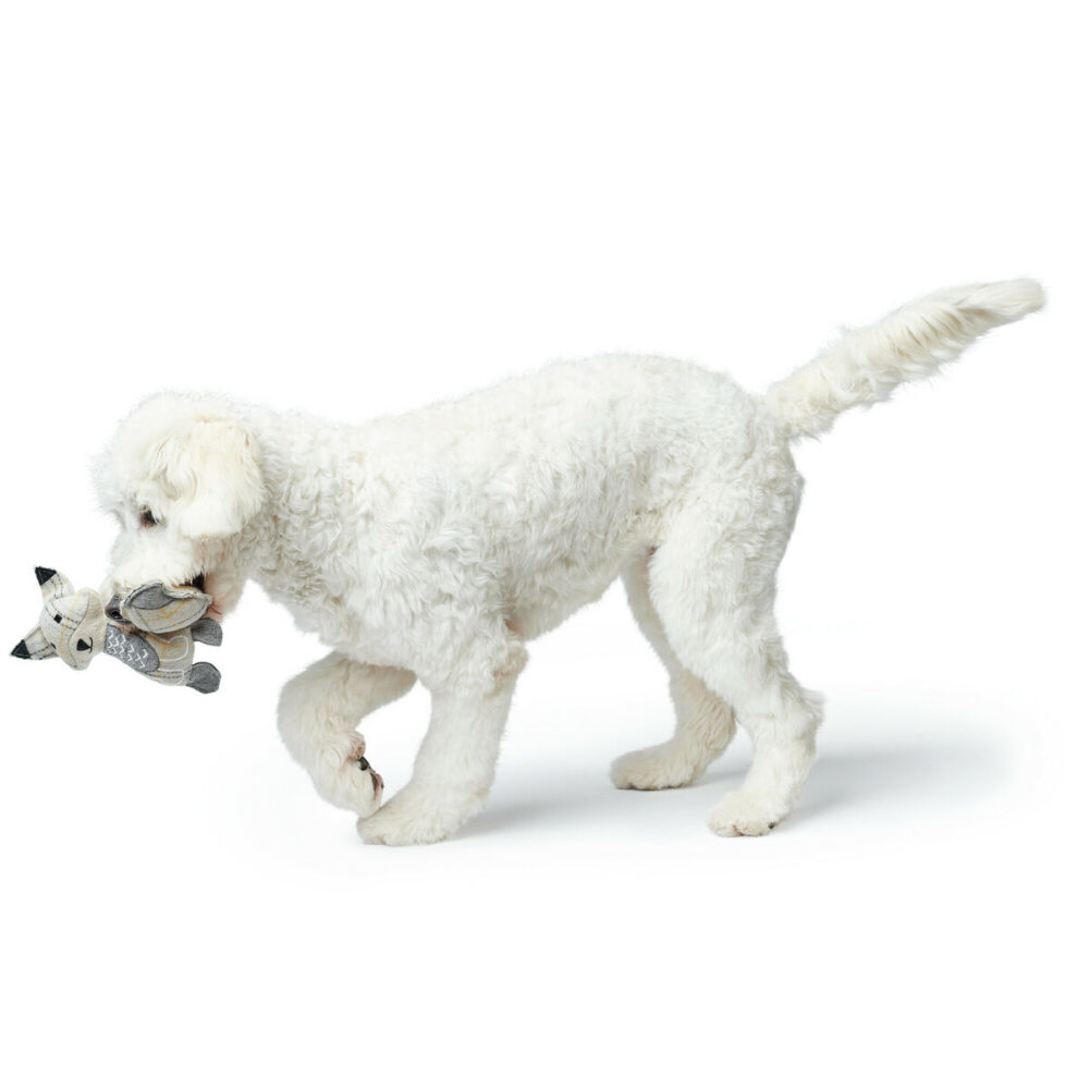 Shop Secondary Image