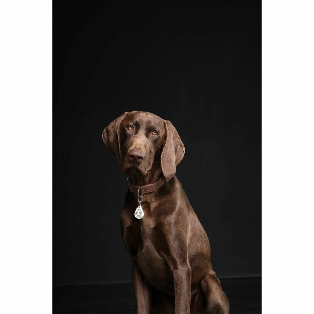 Gallery Thumb Gallery Thumb