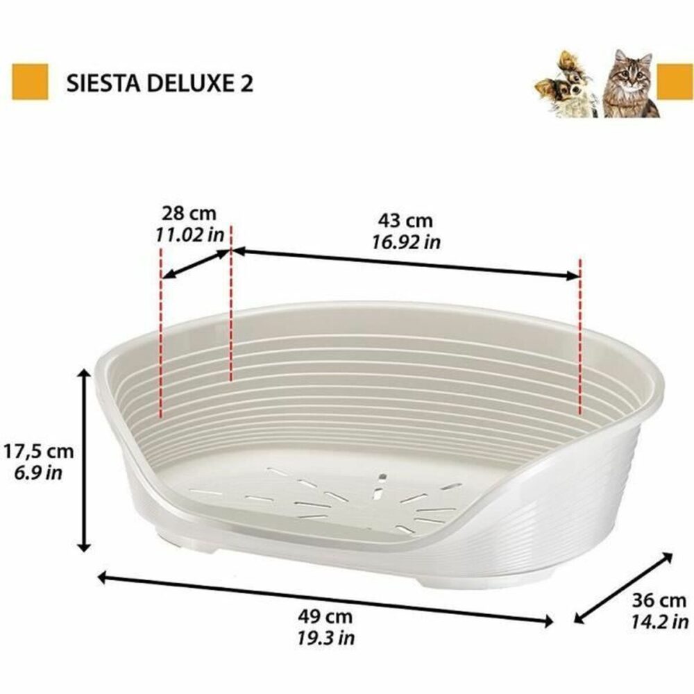 Shop Secondary Image