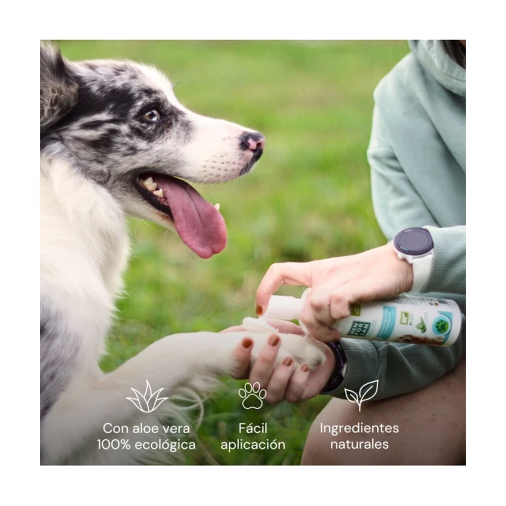 Shop Secondary Image