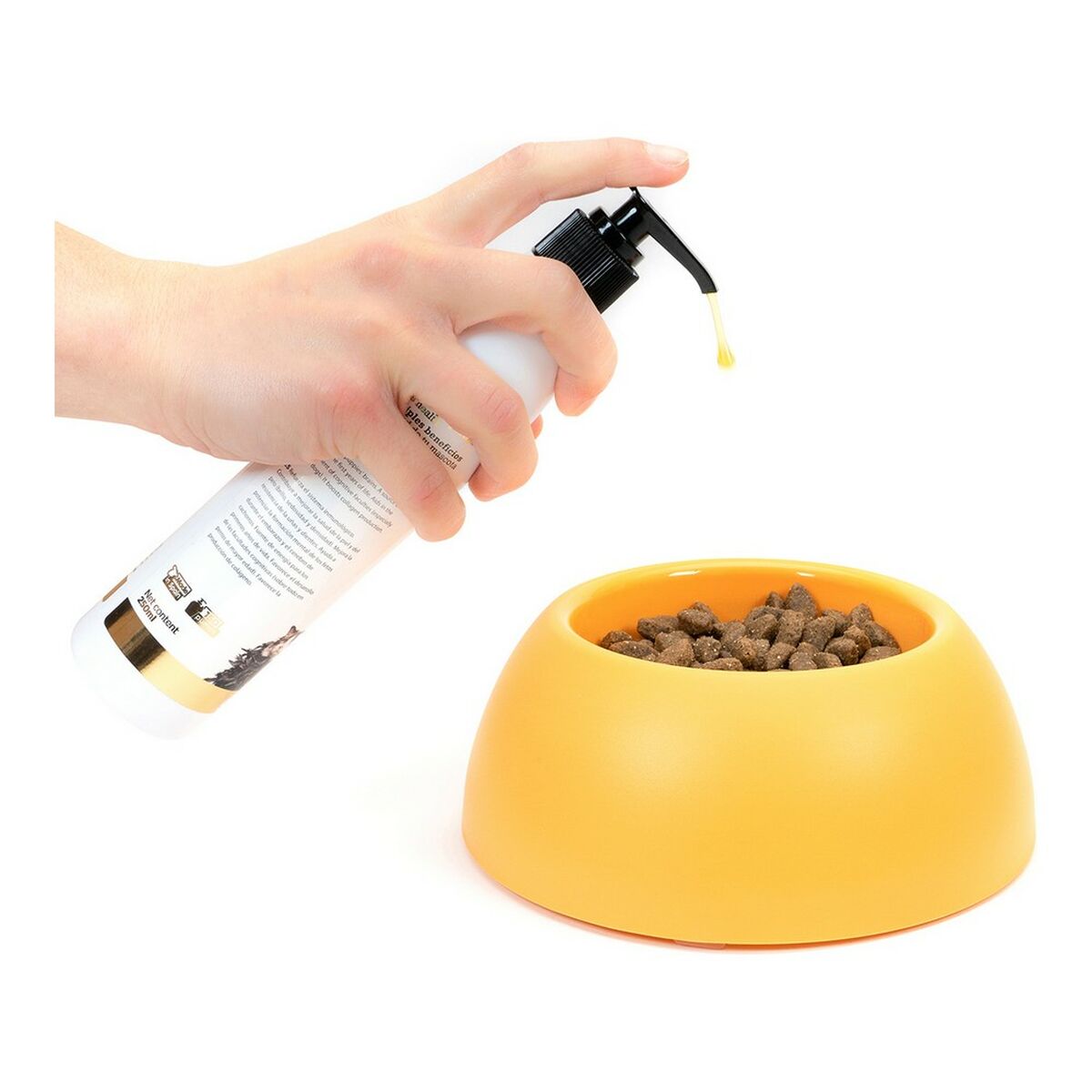 S6100454_2 S6100454_2