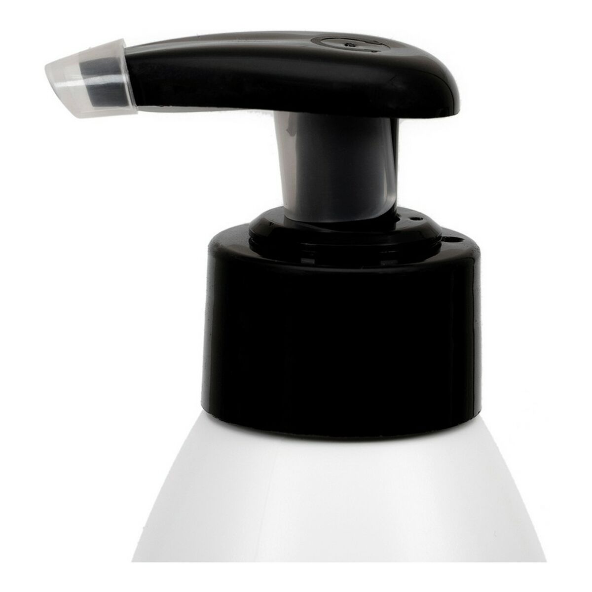 S6100454_3 S6100454_3