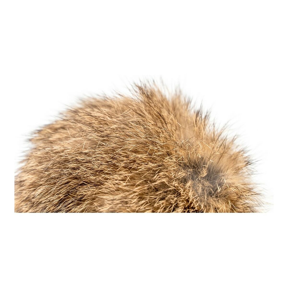 S6102238_4 S6102238_4