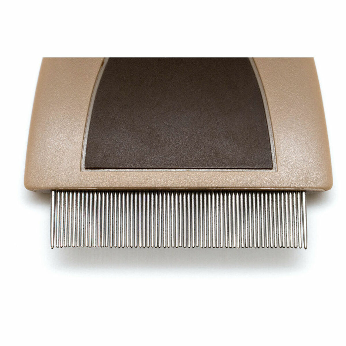 S6101648_2 S6101648_2