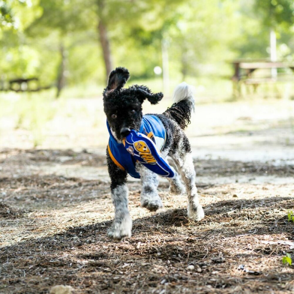 Shop Secondary Image