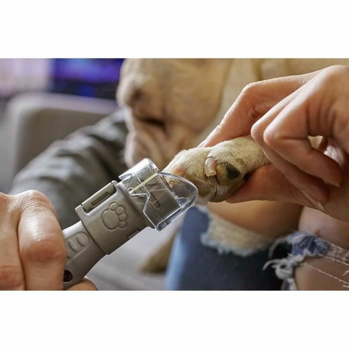 S7153272_2 S7153272_2