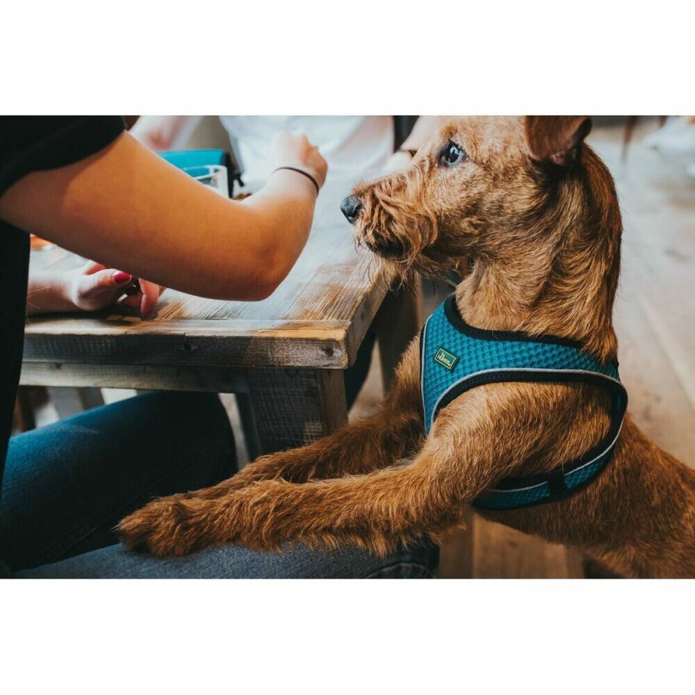 Shop Secondary Image