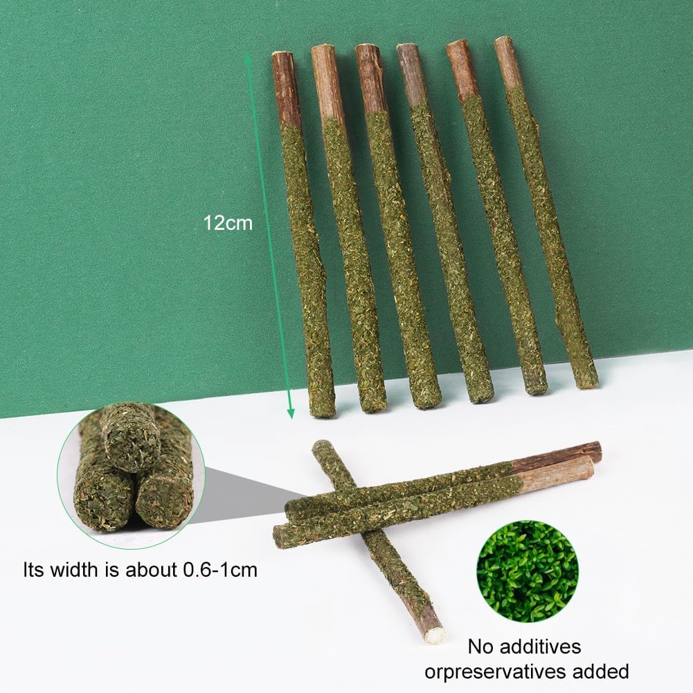 Shop Secondary Image