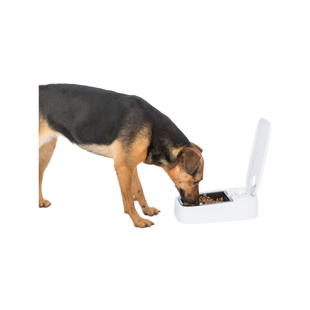 Gallery Thumb Gallery Thumb