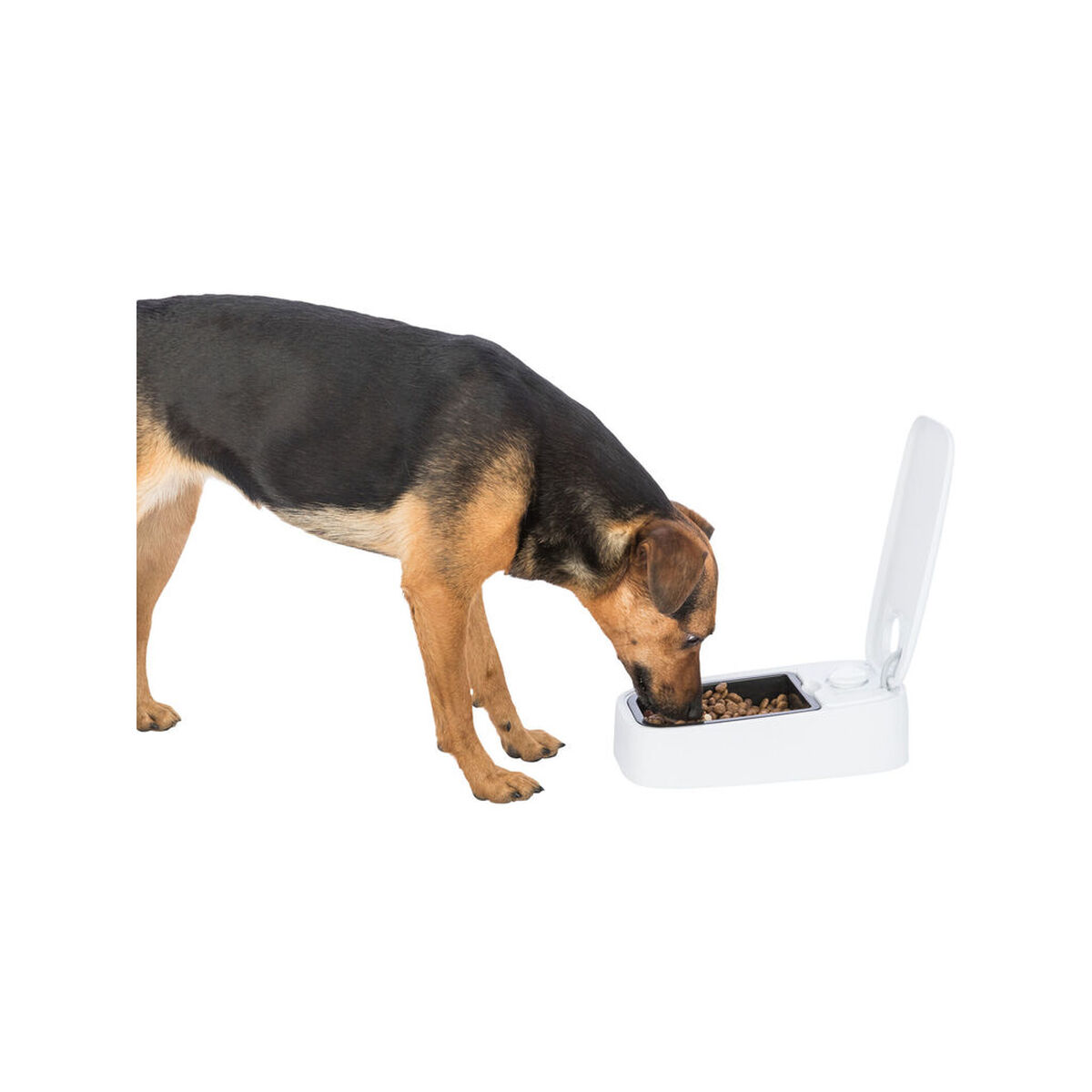 M0609108_34 M0609108_34