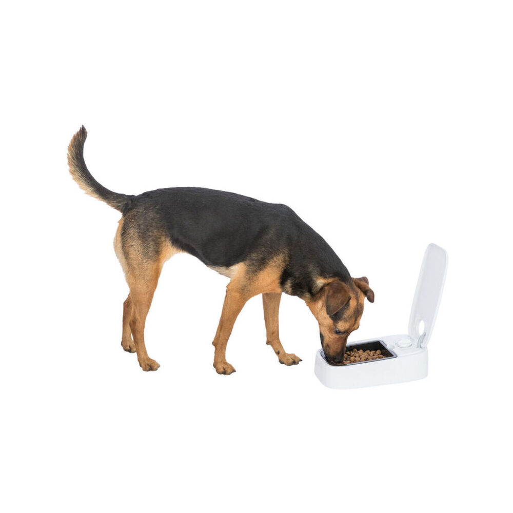 Gallery Thumb Gallery Thumb