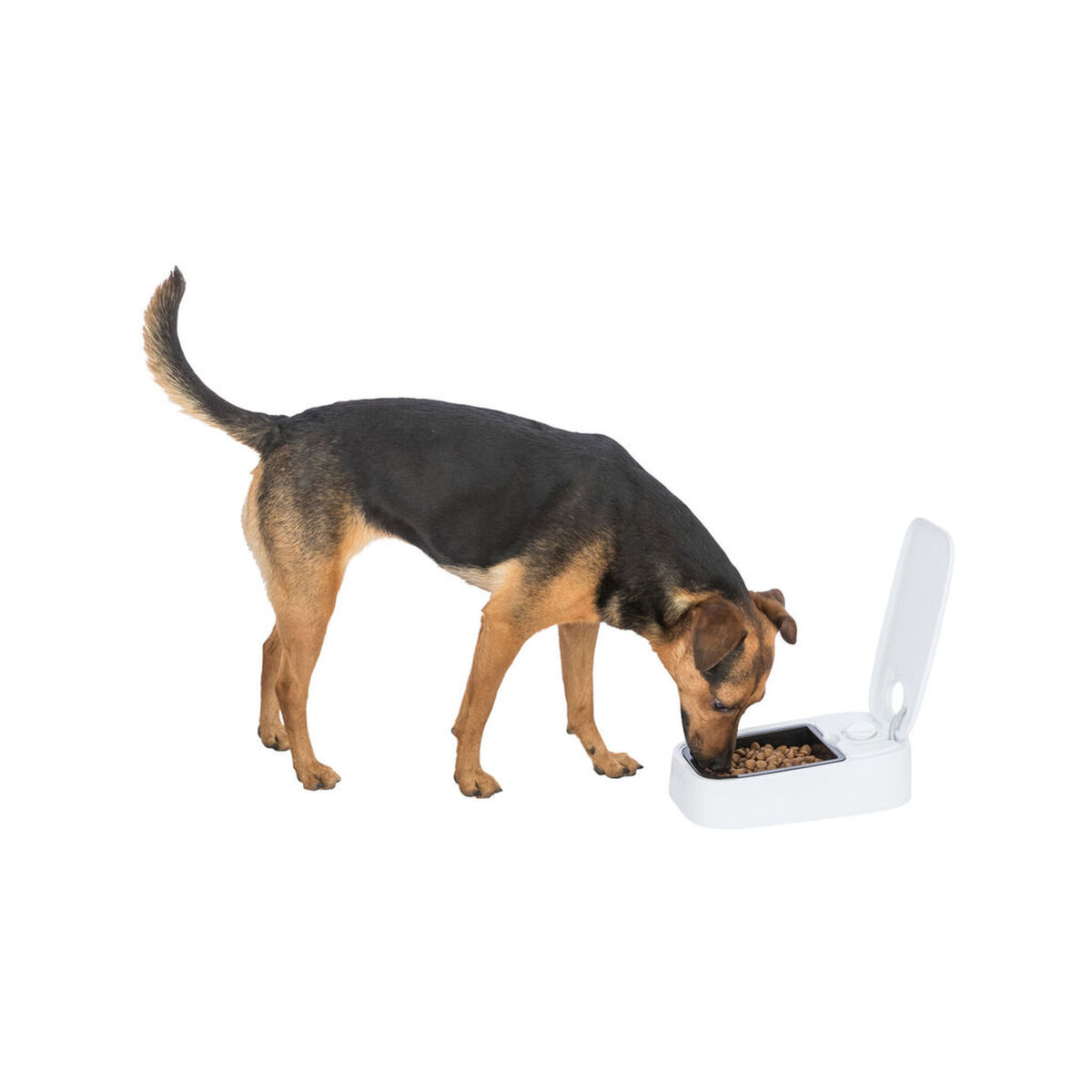 M0609108_36 M0609108_36