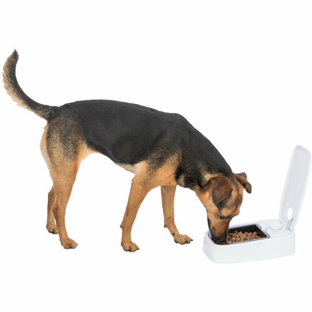 Gallery Thumb Gallery Thumb