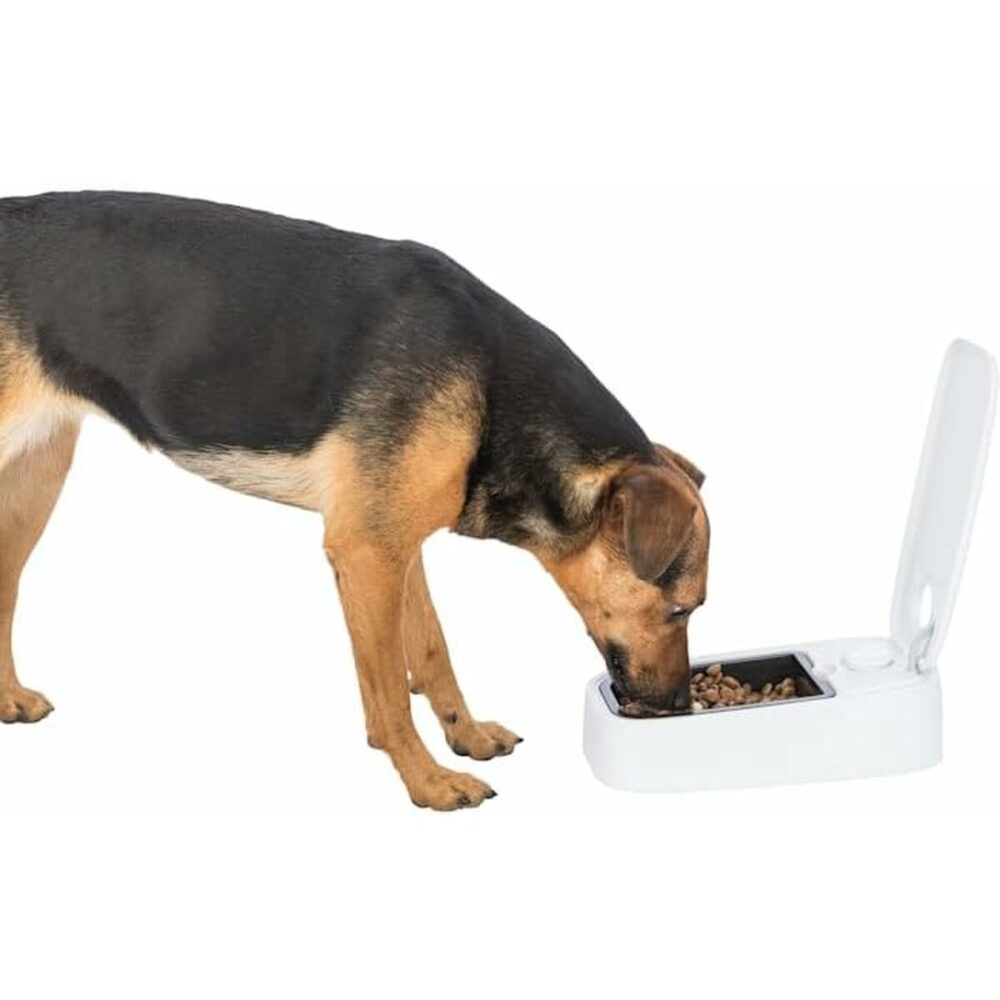 Gallery Thumb Gallery Thumb