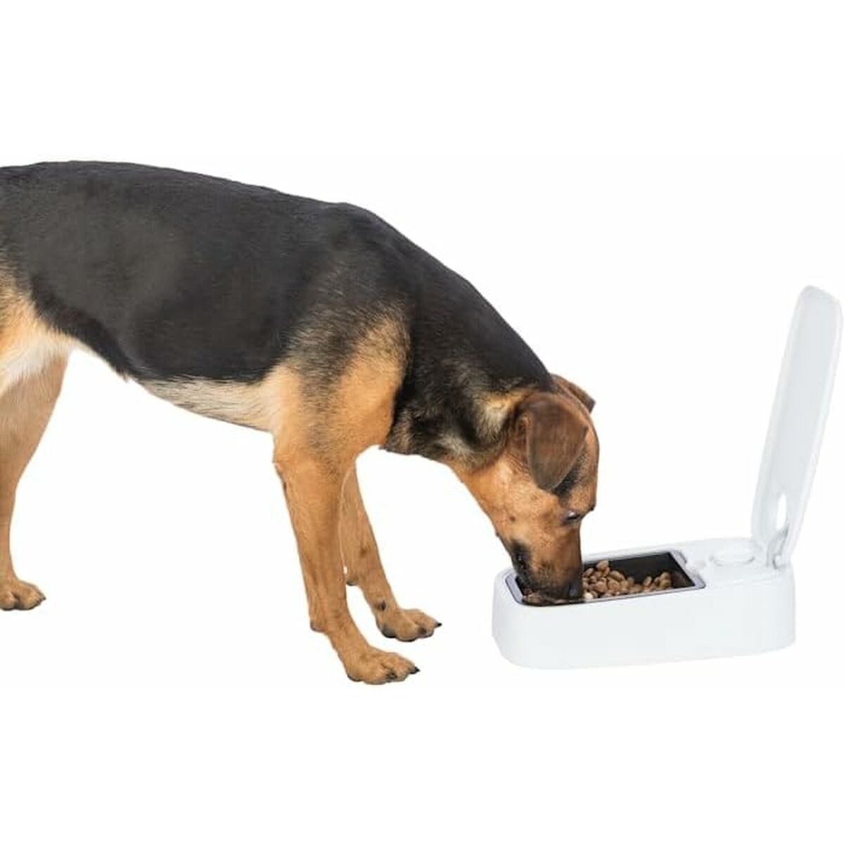 M0609108_8 M0609108_8