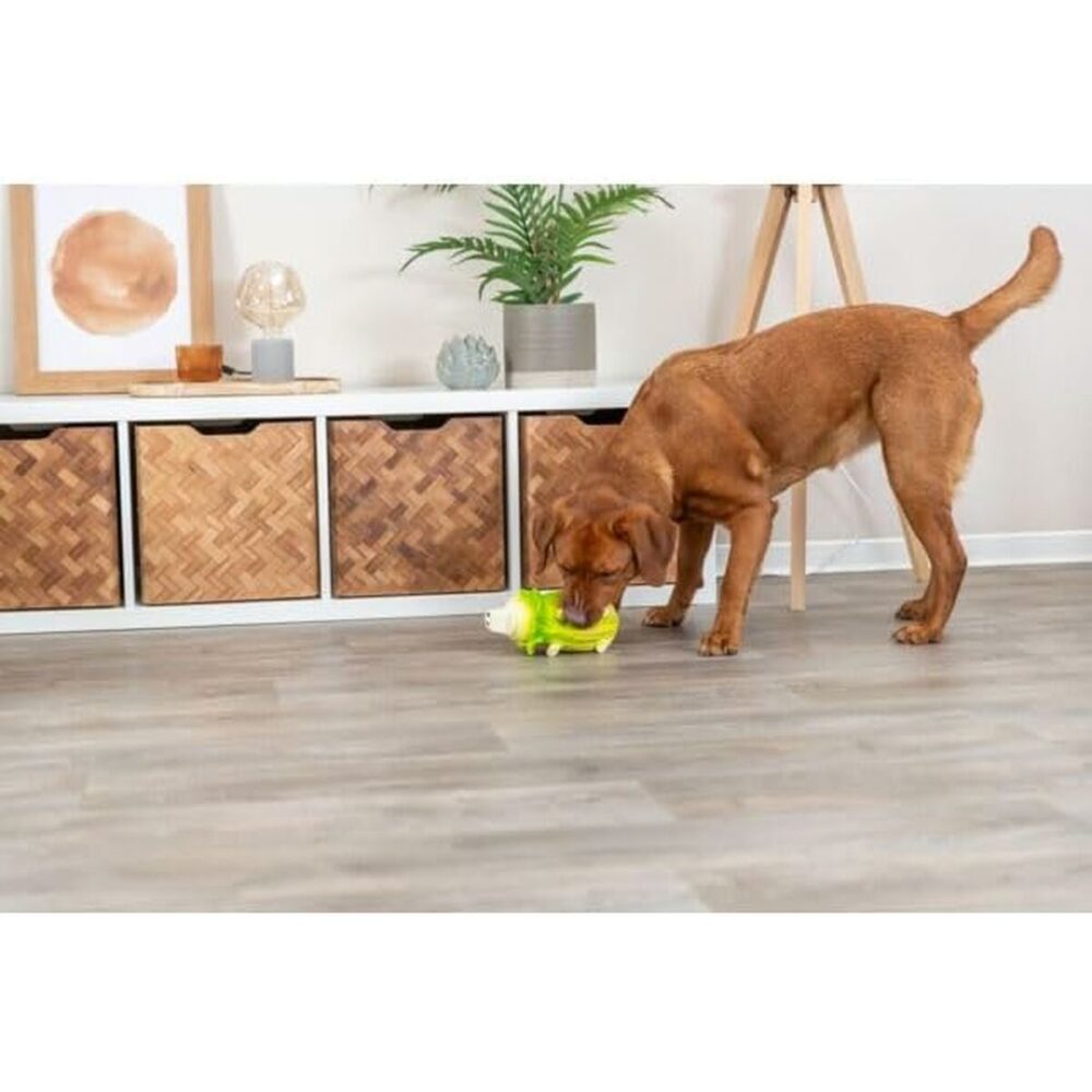 Shop Secondary Image