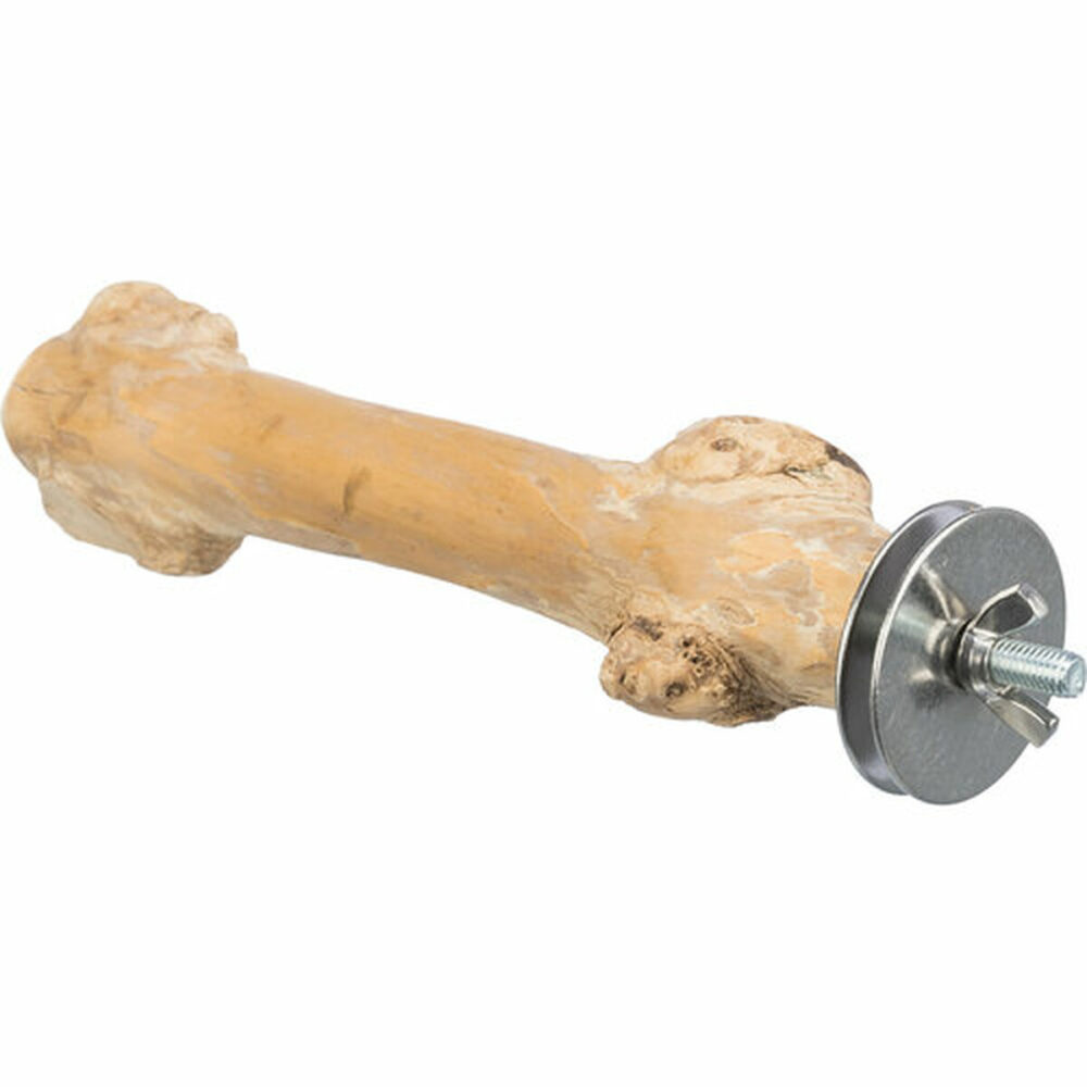 Shop Secondary Image