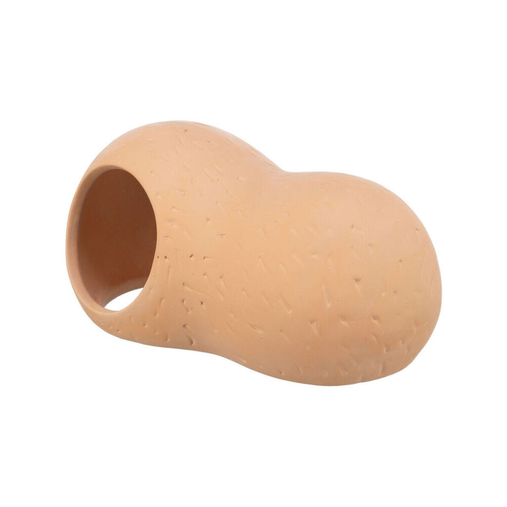 Shop Secondary Image