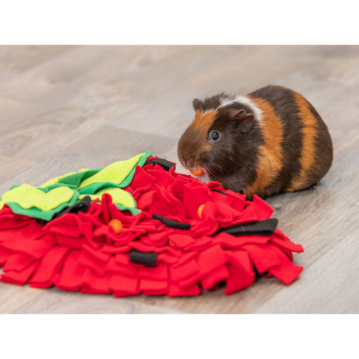 M0607336_6 M0607336_6