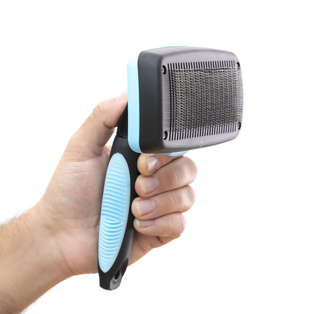 Gallery Thumb Gallery Thumb