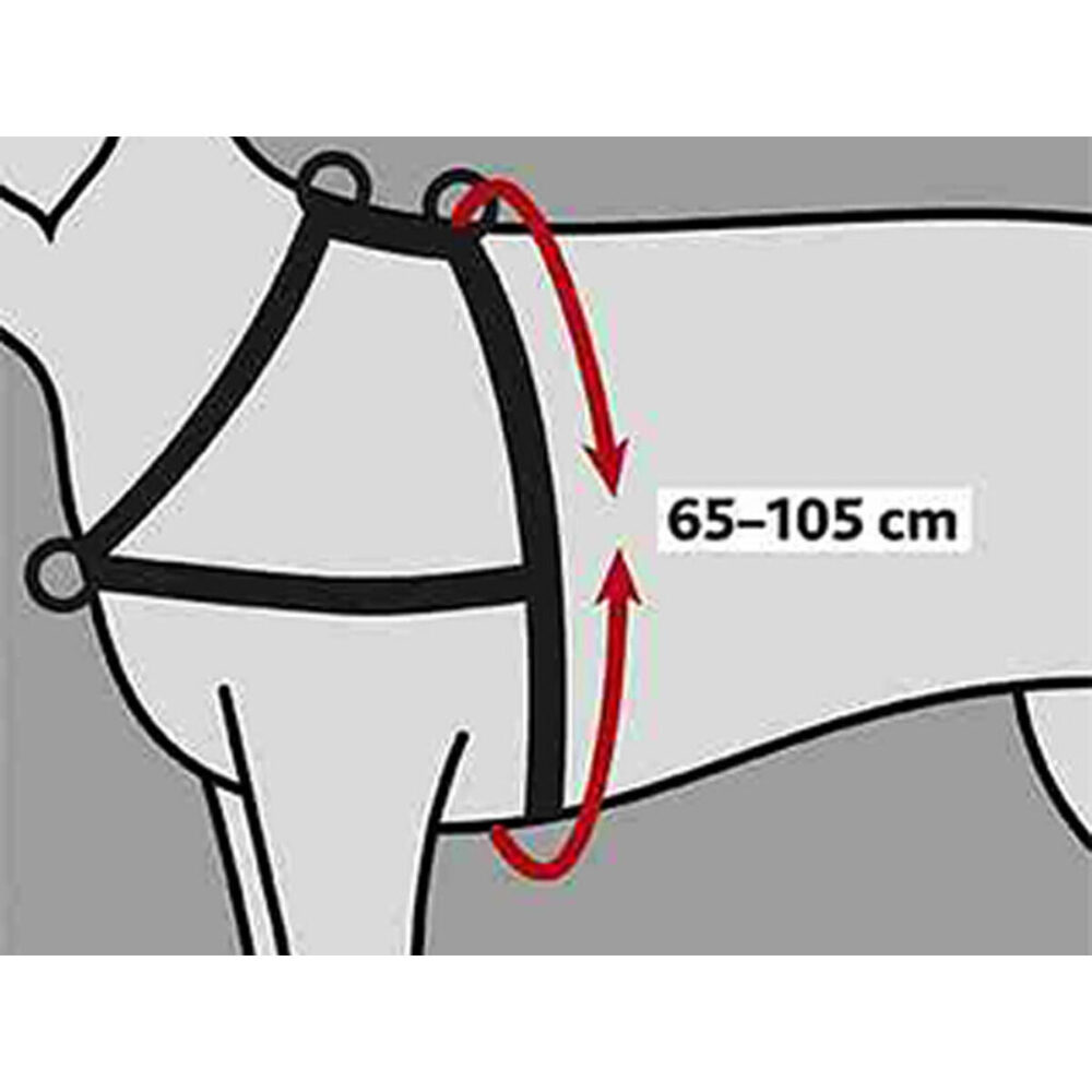 Shop Secondary Image