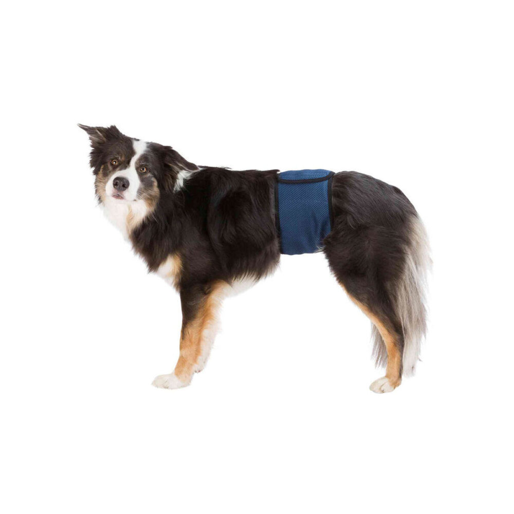 Shop Primary Image Shop Primary Image