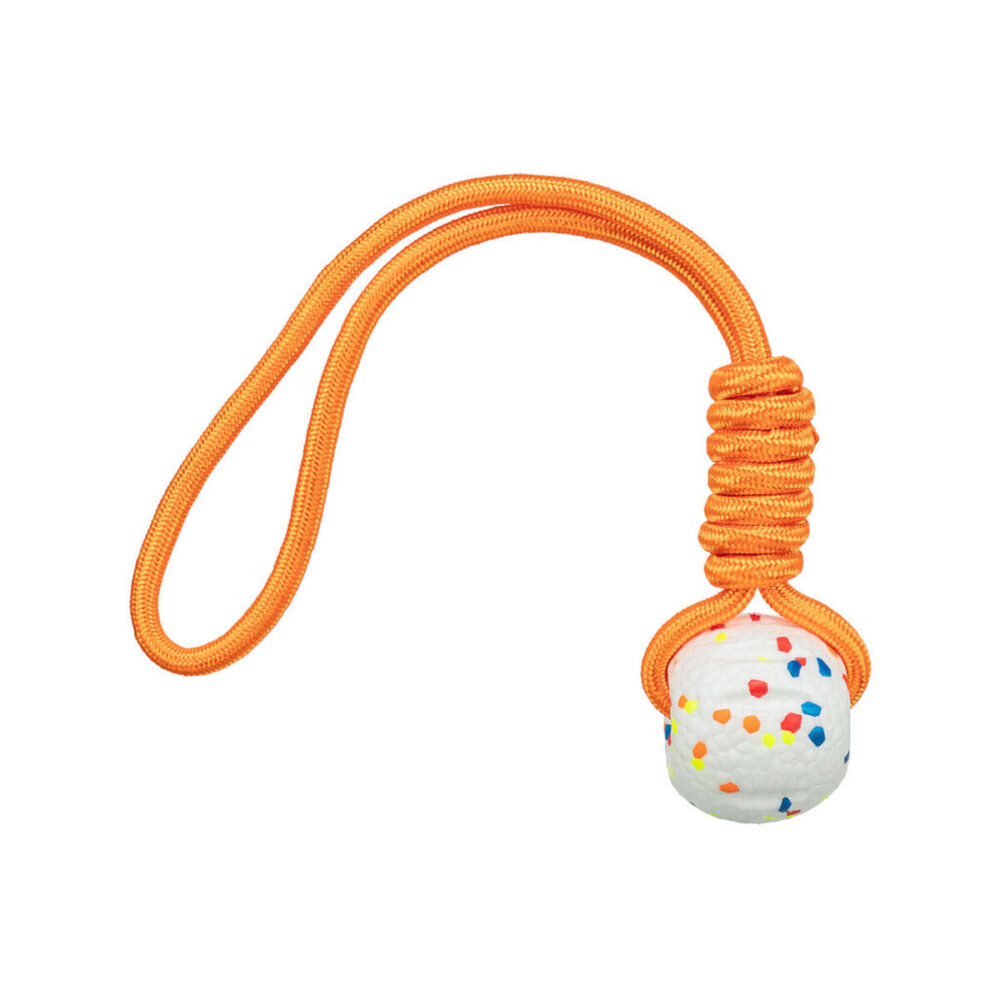 Shop Secondary Image