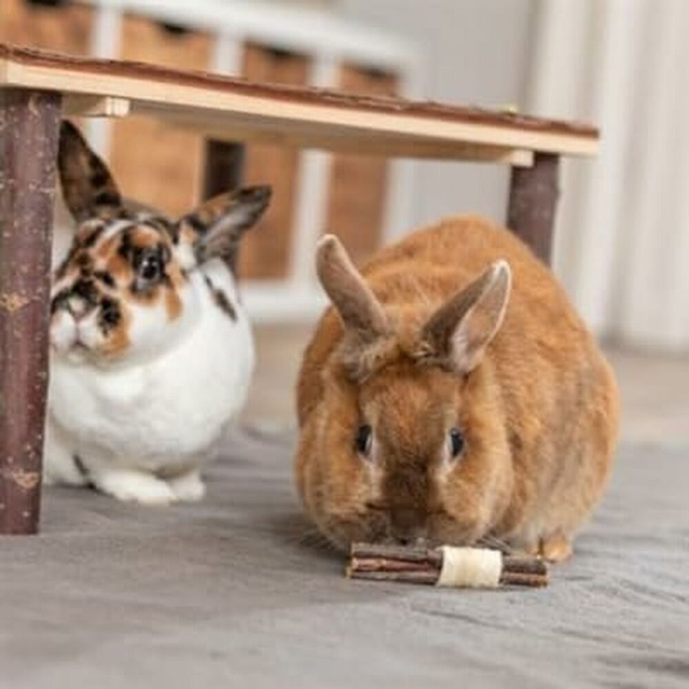 Shop Secondary Image