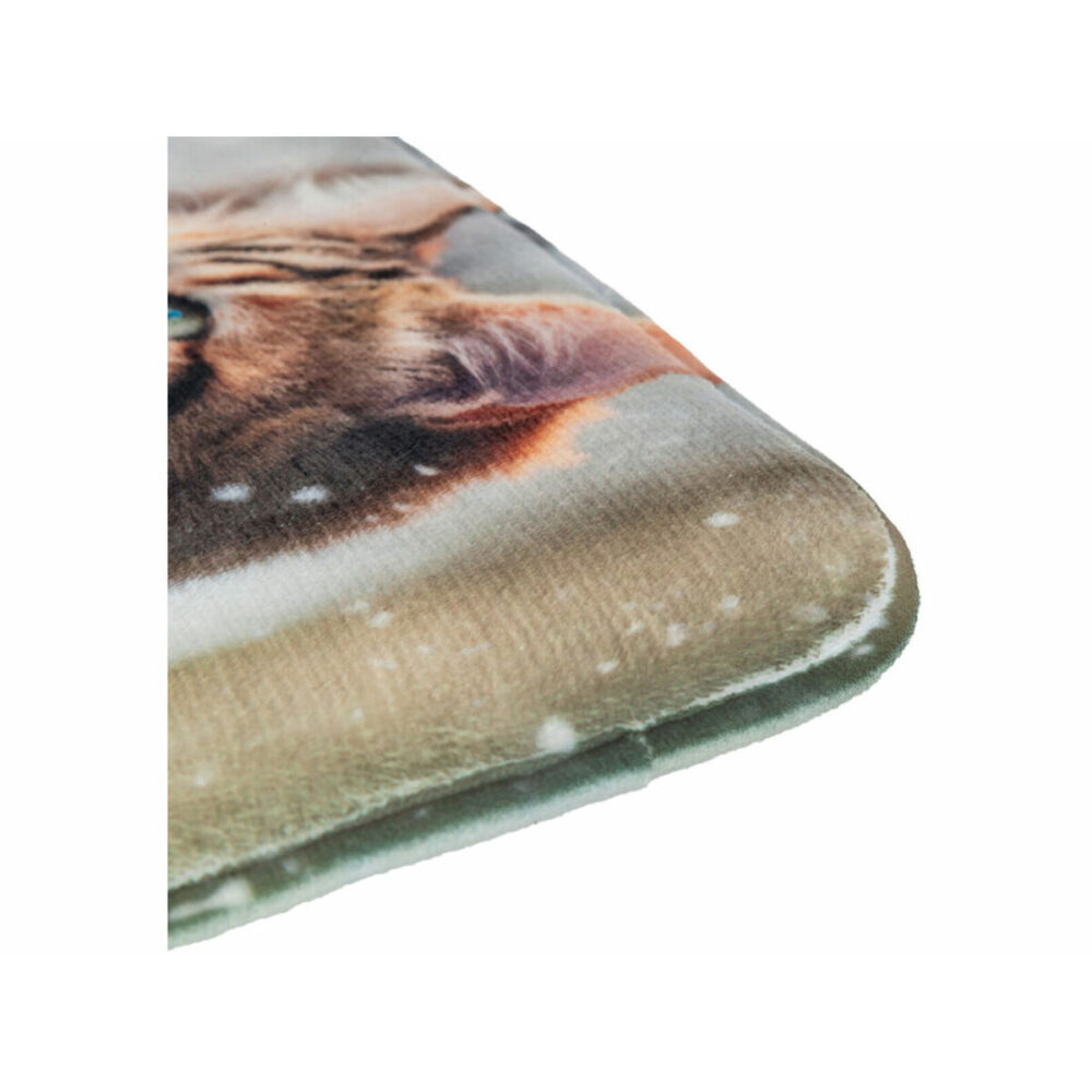 Gallery Thumb Gallery Thumb