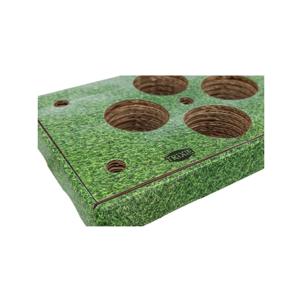 Gallery Thumb Gallery Thumb