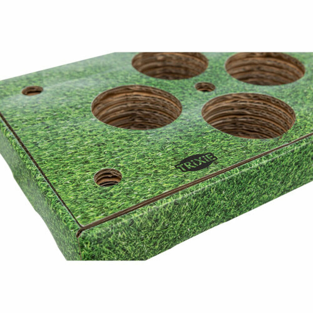 Gallery Thumb Gallery Thumb